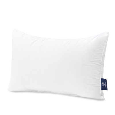 Coussins décoratifs 100% coton