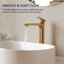 Robinet pour salle de bain à un trou, robinet de salle de bain à poignée simple avec ensemble de bonde-115612511