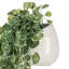 Fausse plante d'intérieur lierre artificiel Pothos d'intérieur