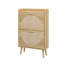 Anelise 2 Door Rattan Shoe Storage Cabinet