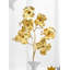 House of Hampton® - Sprays artificiels en or doré - Fleurs et feuillage dorés élégants pour une décoration polyvalente, des tables, des fêtes, des événements et un centre de table, ensemble de 12