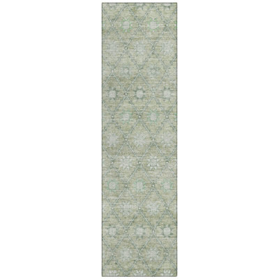 Machine Washable Indoor/Outdoor Xhevrie Aloe Rug