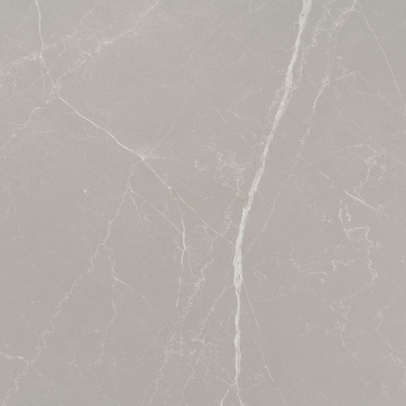 Grand carreau de mur et de plancher en porcelaine mate d'aspect marbre gris cendré 24 po x 48 po Regalia (paquet de 2 de 15,5 pieds carrés / caisse)