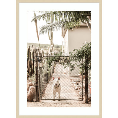 No Entry by Shot by Clint Wood Framed Wall Art Print