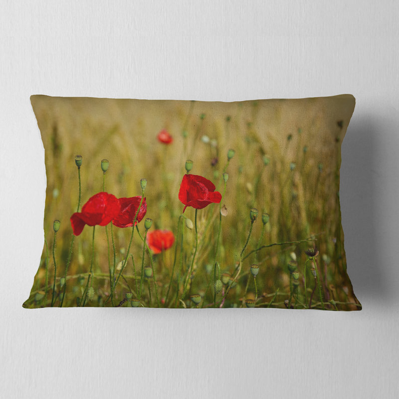 Coussin rouge à motif de coquelicots rouges