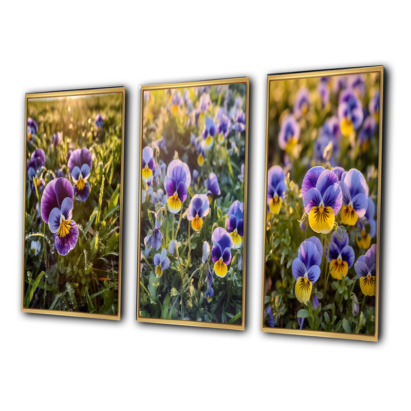 «Purple Yellow Natures Pansies», 3 pièces sur toile, Cadre flottant doré, H 20 po x l 36 po