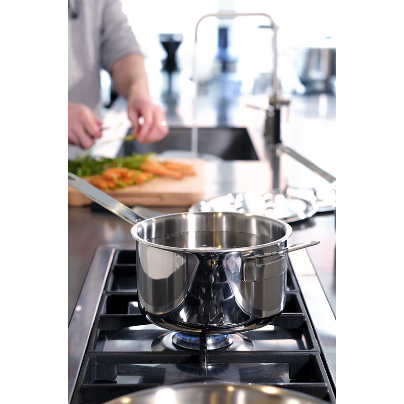 Professional Secrets Non-Stick Stainless Steel Standard Pot, 3 Litres