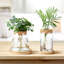 4 pots à fleurs avec pots en bois et couvercle en bois