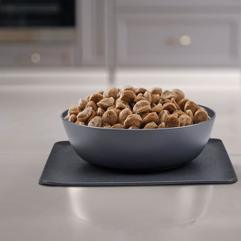 Anti-Skid Pet Bowl