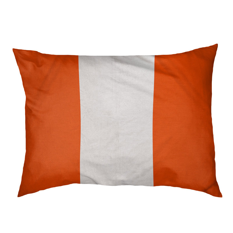 Coussin d'extérieur pour chien Florida Tribe, Grand (l 50 po x P 40 po x H 7 po), Turquoise / blanc