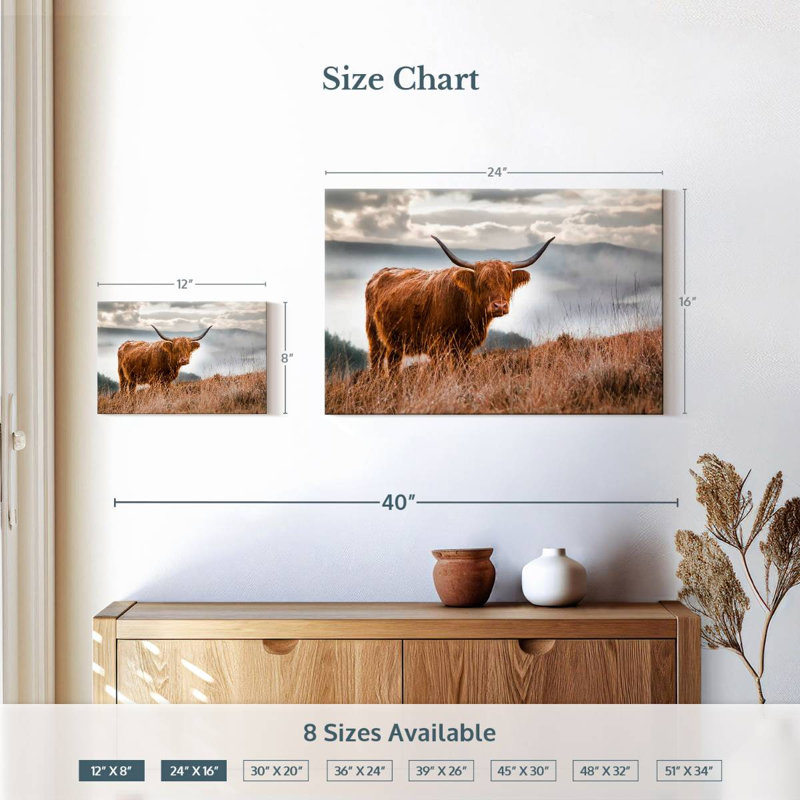 Vache Highland en Écosse, H 16 po x l 24 po