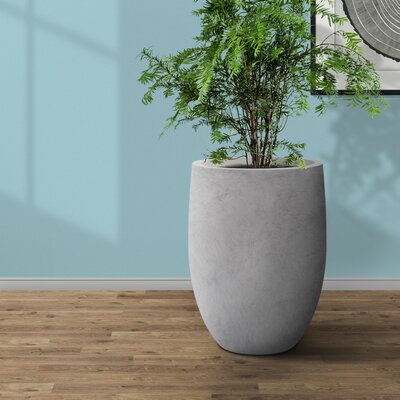 Latitude Run® Gethsemane Concrete Outdoor Pot Planter & Reviews | Wayfair