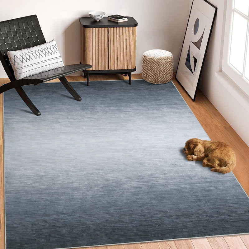 Modern Ombre Washable Area Rug Non-Slip Soft Area Rugs for Living Room Non-Shedding Large Bedroom Rug Contemporary Ombre Rug for Dorm Playroom Kids Room