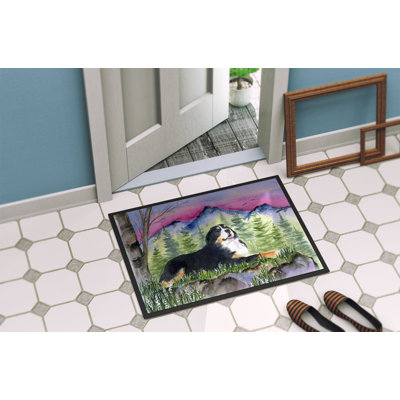 Non-Slip Indoor Doormat