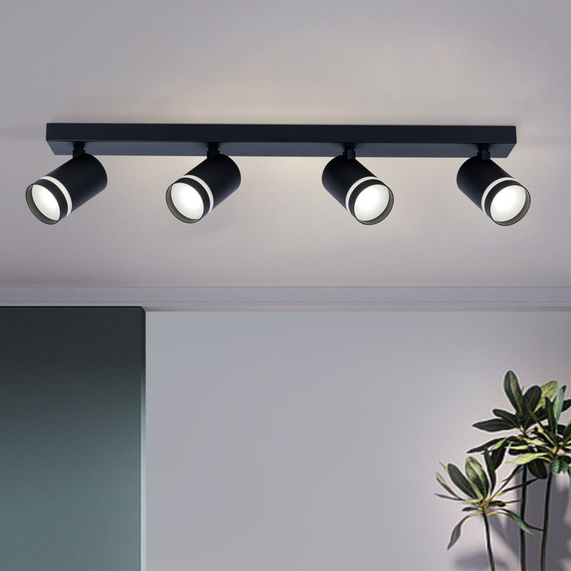 Aylinn Spotlight, Black