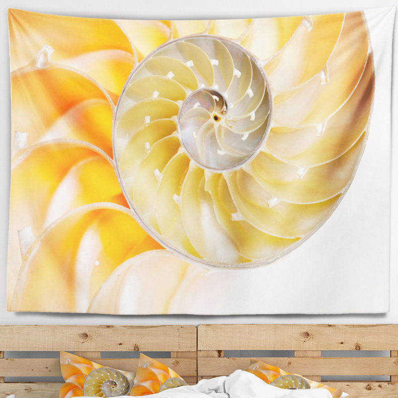 Tapisserie conautilusy isolated shell avec accessoires suspendus inclus, H 32 po x l 39 po