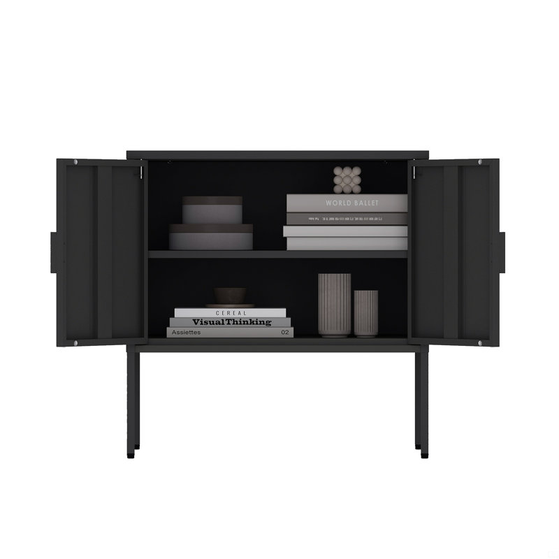 Ava 24" Modern Stainless Steel Accent Cabinet with 2 Adjustable Shelves in Black, Black