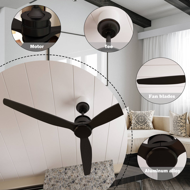 Ceiling Fan