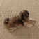 Veranda Natural Handwoven Performance Rug
