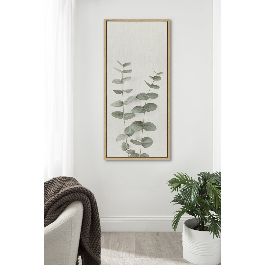 Drumheller Eucalyptus Botanical I Framed Canvas By The Creative Bunch Studio 18X40 Gray Lark Manor™ 