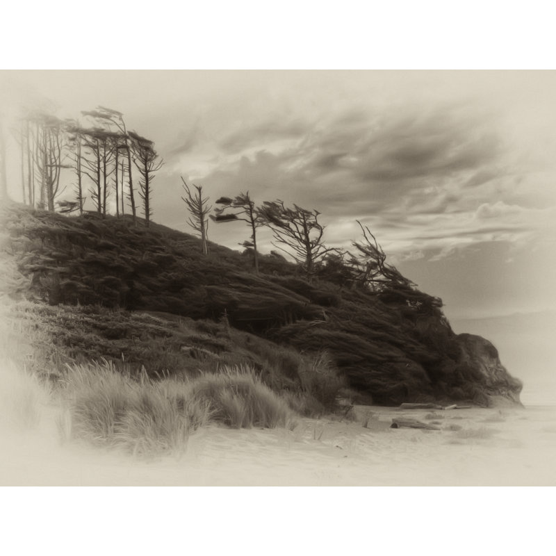 Windswept Print by Tom Kostes, Black Framed Paper, 16" H x 20" W