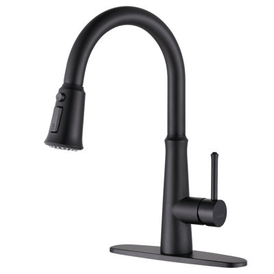 Pull Out Kitchen Faucet
