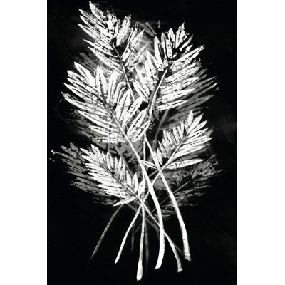 " Palm Leaf Fresco II " by Vision Studio
