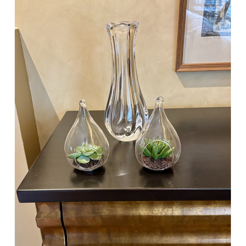 Terrarium en verre 4,5 po