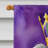 Double Sided 40'' H x 28'' W Polyester Mardi Gras House Flag