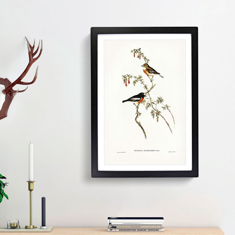 Scarlet-Breasted Robins by Elizabeth Gould - Picture Frame Painting Print, 48cm H x 36cm W x 2cm D, Black Framed