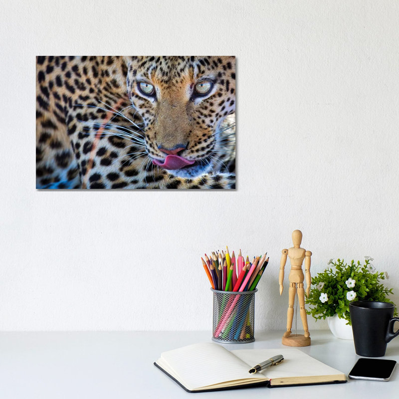 Leopard Bloodshot Eyes by Mogens Trolle - Wrapped Canvas Print, 20.32 cm H x 30.48 cm W