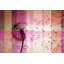 Parvez Taj - Wrapped Canvas Print-12309210
