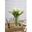 Fausse tulipe Tucson-1761452369-1761452364