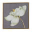 «Grossi Botanical Flower Prints», art mural pour le salon