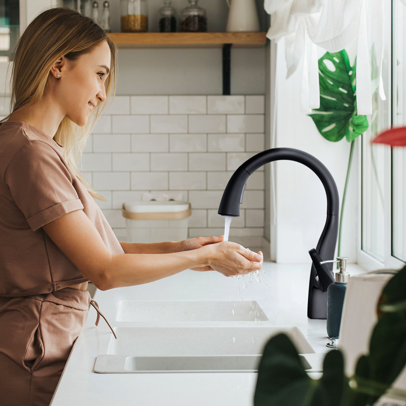 WOWOW Pull Down Kitchen Faucet, Black