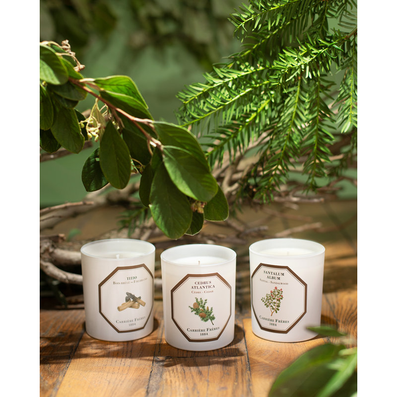 Sandalwood Scented Candle