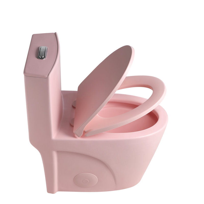 Small Compact One Piece Toilet Dual Flush, Pink Flower