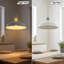 Patillo 1 - Light Pendant-1147322483