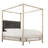 Pettaway Upholstered Metal Canopy Bed-1881415018-1881415021-1881415017