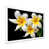 White Picture Frame
