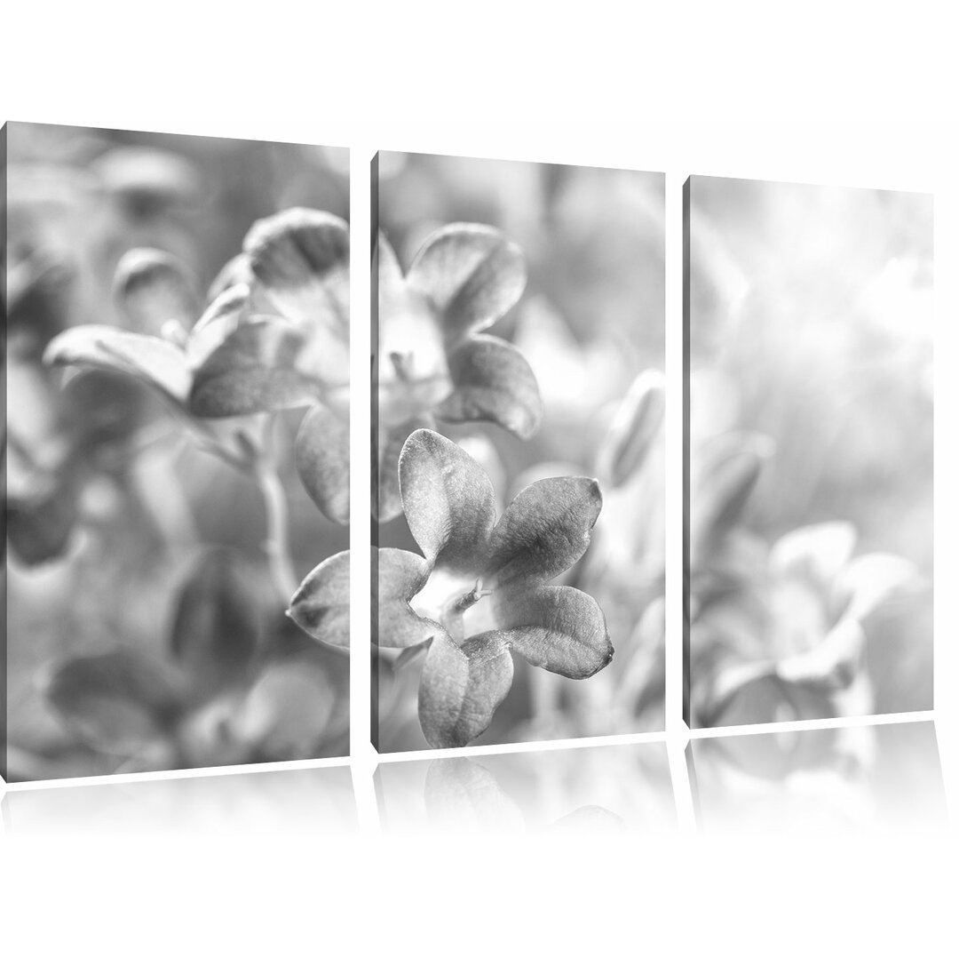 3-tlg. Leinwandbilder-Set „Lilane Lavendelblumen“, Fotodruck