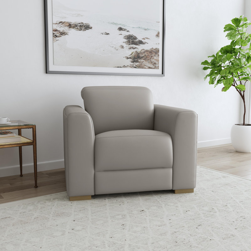 Celeste Power Recliner With Adjustable Power Headrest, Gray