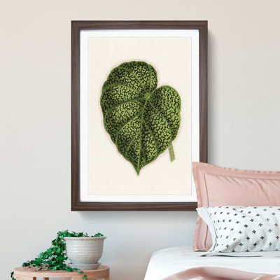 Illustration of a Green Leaf by Benjamin Fawcett - Framed Print