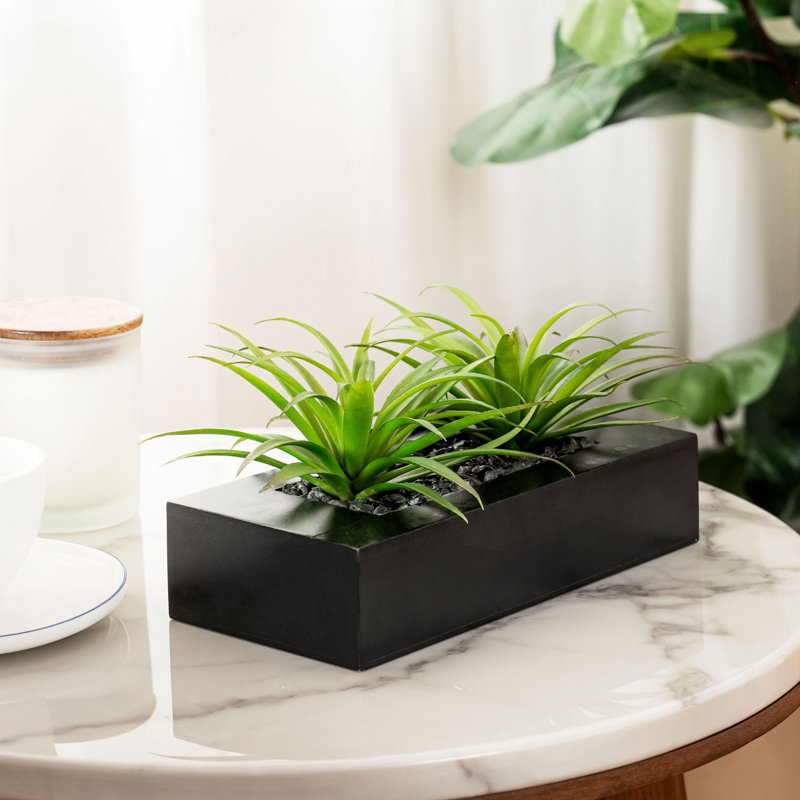 14cm Faux Onion Grass Grass in Solid Wood Planter, Black