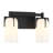 Irela 4-Light Vanity Light in Black-285041195-302682951-285041196