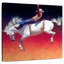 Mehar Rodeo Fireworks-109391128
