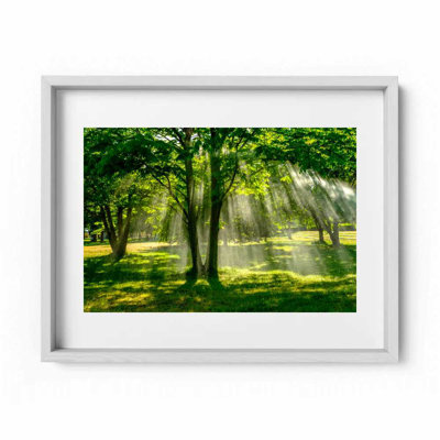 Summer Rain Print by Joseph Regan