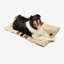 Pet Comfort Cushion-1011461094-1011461093