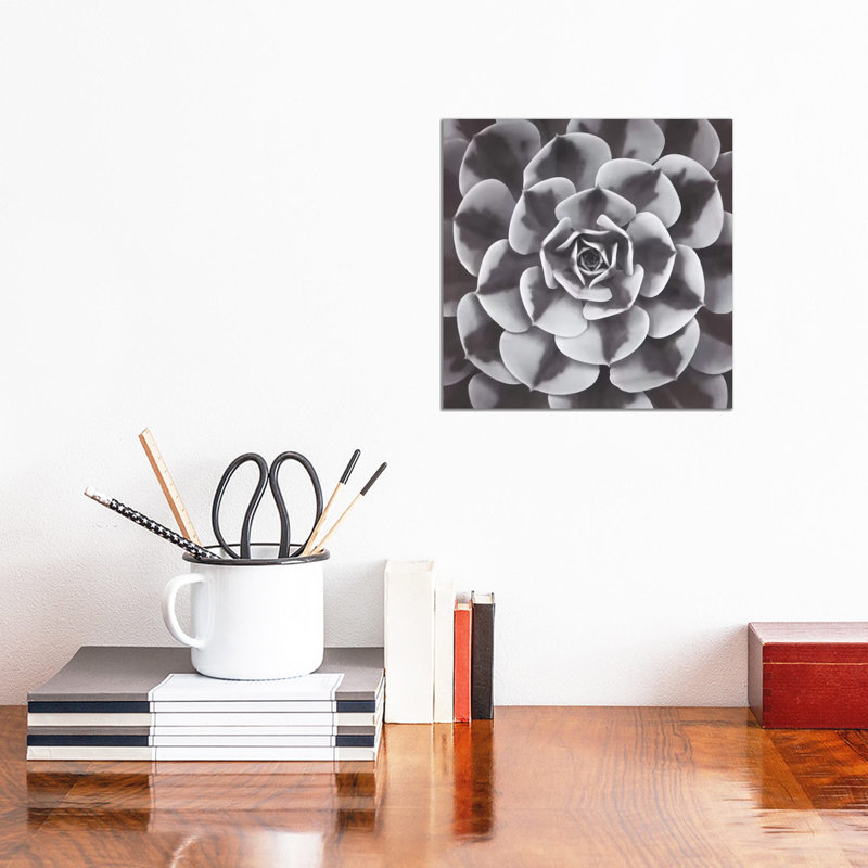 Natural Design III by Assaf Frank - Wrapped Canvas Print, 30.48 cm H x 30.48 cm W x 1.91 cm D