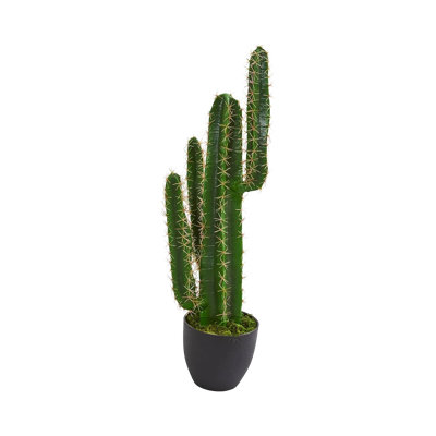 2.5 Ft. Azure Spire Cactus